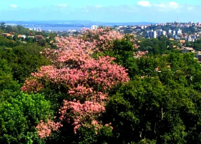 Betania 4* Porto Alegre